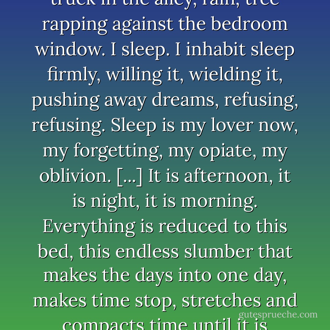 I sleep all day. Noises flit around the house- garbage truck in the alley, rain, tree rapping against the bedroom window. I sleep. I inhabit sleep firmly, willing it, wielding it, pushing away dreams, refusing, refusing. Sleep is my lover now, my forgetting, my opiate, my oblivion. [...] It is afternoon, it is night, it is morning. Everything is reduced to this bed, this endless slumber that makes the days into one day, makes time stop, stretches and compacts time until it is meaningless. - Audrey Niffenegger