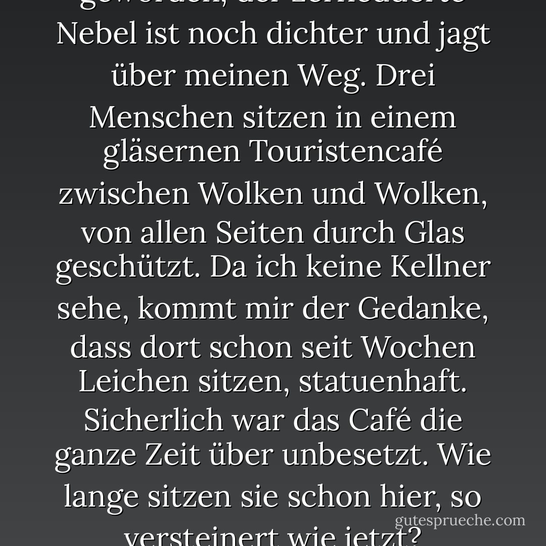 Inzwischen ist es stürmisch geworden, der zerfledderte Nebel ist noch dichter und jagt über meinen Weg. Drei Menschen sitzen in einem gläsernen Touristencafé zwischen Wolken und Wolken, von allen Seiten durch Glas geschützt. Da ich keine Kellner sehe, kommt mir der Gedanke, dass dort schon seit Wochen Leichen sitzen, statuenhaft. Sicherlich war das Café die ganze Zeit über unbesetzt. Wie lange sitzen sie schon hier, so versteinert wie jetzt? - Werner Herzog<