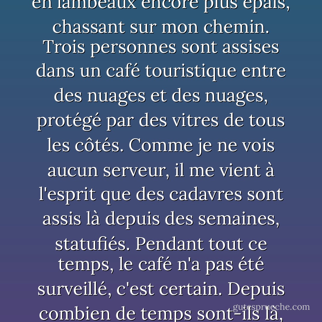 Entre-temps, le temps est devenu orageux, le brouillard en lambeaux encore plus épais, chassant sur mon chemin. Trois personnes sont assises dans un café touristique entre des nuages et des nuages, protégé par des vitres de tous les côtés. Comme je ne vois aucun serveur, il me vient à l'esprit que des cadavres sont assis là depuis des semaines, statufiés. Pendant tout ce temps, le café n'a pas été surveillé, c'est certain. Depuis combien de temps sont-ils là, pétrifiés ? - Werner Herzog