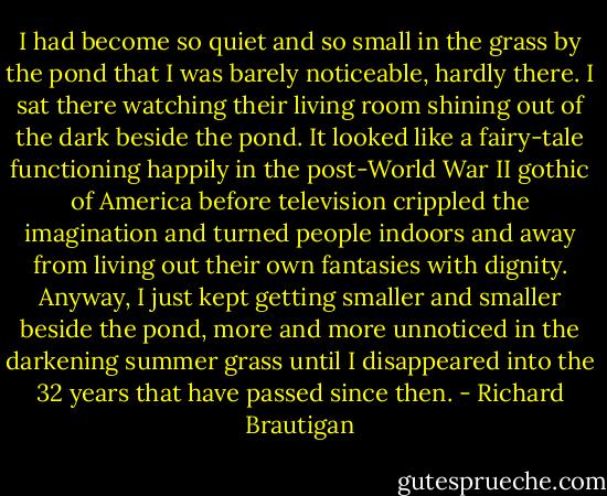 I had become so quiet and so small in the grass by the pond that I was barely noticeable, hardly there. I sat there watching their living room shining out of the dark beside the pond. It looked like a fairy-tale functioning happily in the post-World War II gothic of America before television crippled the imagination and turned people indoors and away from living out their own fantasies with dignity. Anyway, I just kept getting smaller and smaller beside the pond, more and more unnoticed in the darkening summer grass until I disappeared into the 32 years that have passed since then. - Richard Brautigan