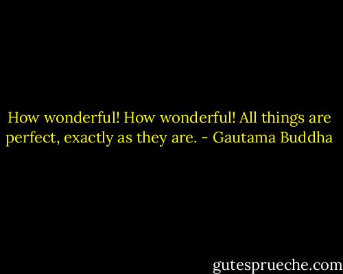 How wonderful! How wonderful! All things are perfect, exactly as they are. - Gautama Buddha