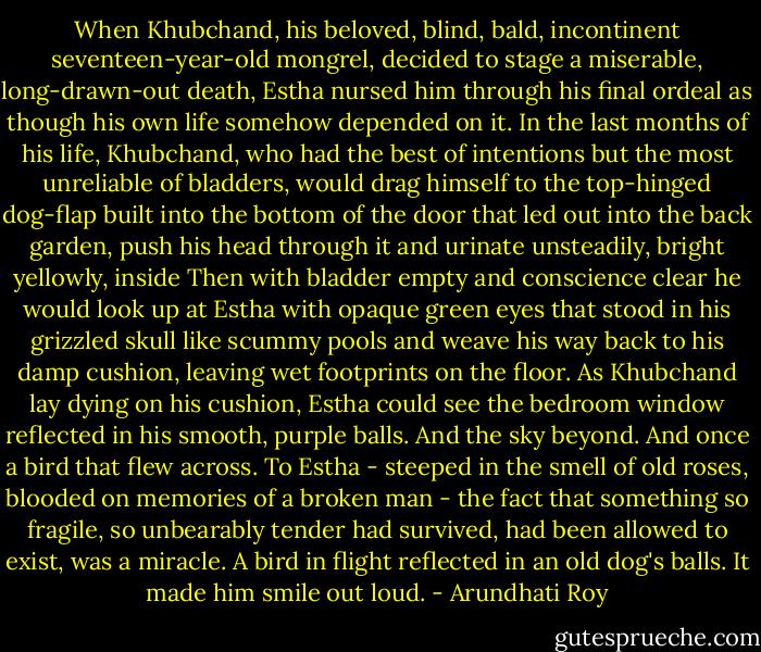 When Khubchand, his beloved, blind, bald, incontinent seventeen-year-old mongrel, decided to stage a miserable, long-drawn-out death, Estha nursed him through his final ordeal as though his own life somehow depended on it. In the last months of his life, Khubchand, who had the best of intentions but the most unreliable of bladders, would drag himself to the top-hinged dog-flap built into the bottom of the door that led out into the back garden, push his head through it and urinate unsteadily, bright yellowly, inside Then with bladder empty and conscience clear he would look up at Estha with opaque green eyes that stood in his grizzled skull like scummy pools and weave his way back to his damp cushion, leaving wet footprints on the floor. As Khubchand lay dying on his cushion, Estha could see the bedroom window reflected in his smooth, purple balls. And the sky beyond. And once a bird that flew across. To Estha - steeped in the smell of old roses, blooded on memories of a broken man - the fact that something so fragile, so unbearably tender had survived, had been allowed to exist, was a miracle. A bird in flight reflected in an old dog's balls. It made him smile out loud. - Arundhati Roy