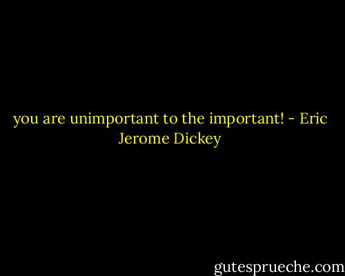 you are unimportant to the important! - Eric Jerome Dickey