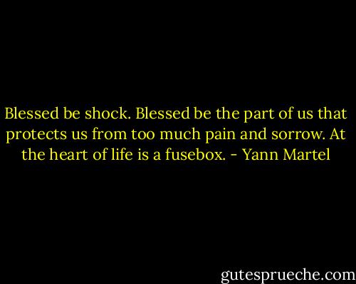 Blessed be shock. Blessed be the part of us that protects us from too much pain and sorrow. At the heart of life is a fusebox. - Yann Martel