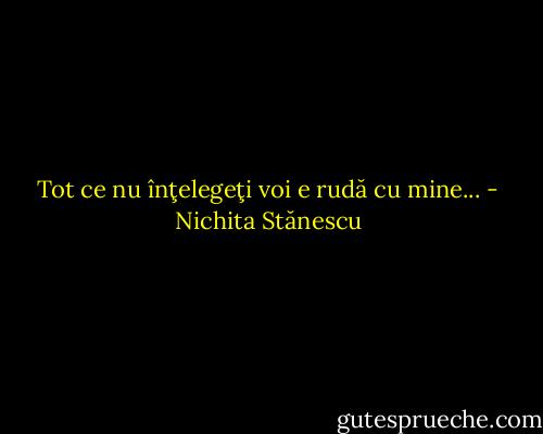 Tot ce nu înţelegeţi voi e rudă cu mine... - Nichita Stănescu
