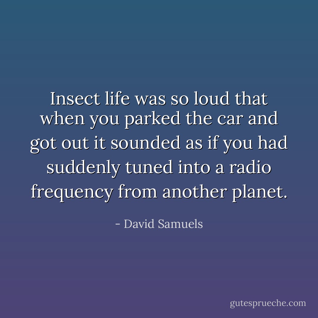 Insect life was so loud that when you parked the car and got out it sounded as if you had suddenly tuned into a radio frequency from another planet. - David Samuels
