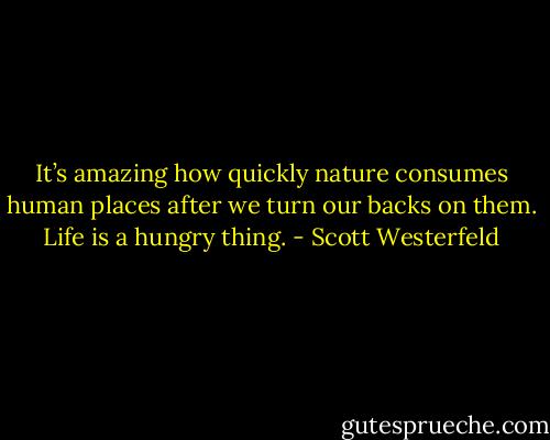 It’s amazing how quickly nature consumes human places after we turn our backs on them. Life is a hungry thing. - Scott Westerfeld