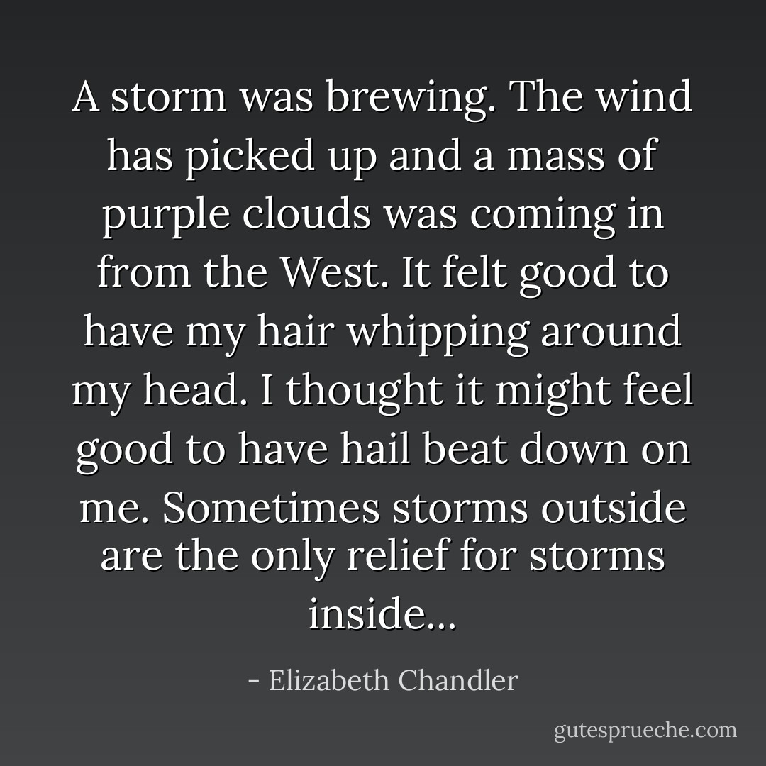 A storm was brewing. The wind has picked up and a mass of purple clouds was coming in from the West. It felt good to have my hair whipping around my head. I thought it might feel good to have hail beat down on me. Sometimes storms outside are the only relief for storms inside... - Elizabeth Chandler