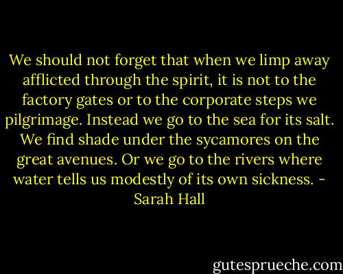 We should not forget that when we limp away afflicted through the spirit, it is not to the factory gates or to the corporate steps we pilgrimage. Instead we go to the sea for its salt. We find shade under the sycamores on the great avenues. Or we go to the rivers where water tells us modestly of its own sickness. - Sarah Hall