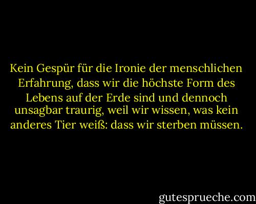 Kein Gespür für die Ironie der menschlichen Erfahrung, dass wir die höchste Form des Lebens auf der Erde sind und dennoch unsagbar traurig, weil wir wissen, was kein anderes Tier weiß: dass wir sterben müssen. - Don DeLillo<