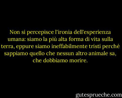 Non si percepisce l'ironia dell'esperienza umana: siamo la più alta forma di vita sulla terra, eppure siamo ineffabilmente tristi perché sappiamo quello che nessun altro animale sa, che dobbiamo morire. - Don DeLillo