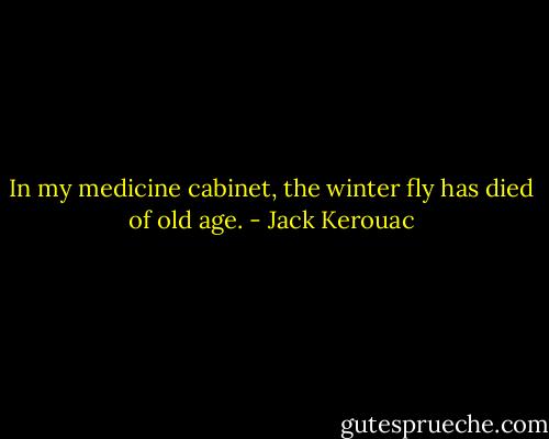 In my medicine cabinet, the winter fly has died of old age. - Jack Kerouac