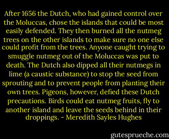 After 1656 the Dutch, who had gained control over the Moluccas, chose the islands that could be most easily defended. They then burned all the nutmeg trees on the other islands to make sure no one else could profit from the trees. Anyone caught trying to smuggle nutmeg out of the Moluccas was put to death. The Dutch also dipped all their nutmegs in lime (a caustic substance) to stop the seed from sprouting and to prevent people from planting their own trees. Pigeons, however, defied these Dutch precautions. Birds could eat nutmeg fruits, fly to another island and leave the seeds behind in their droppings. - Meredith Sayles Hughes