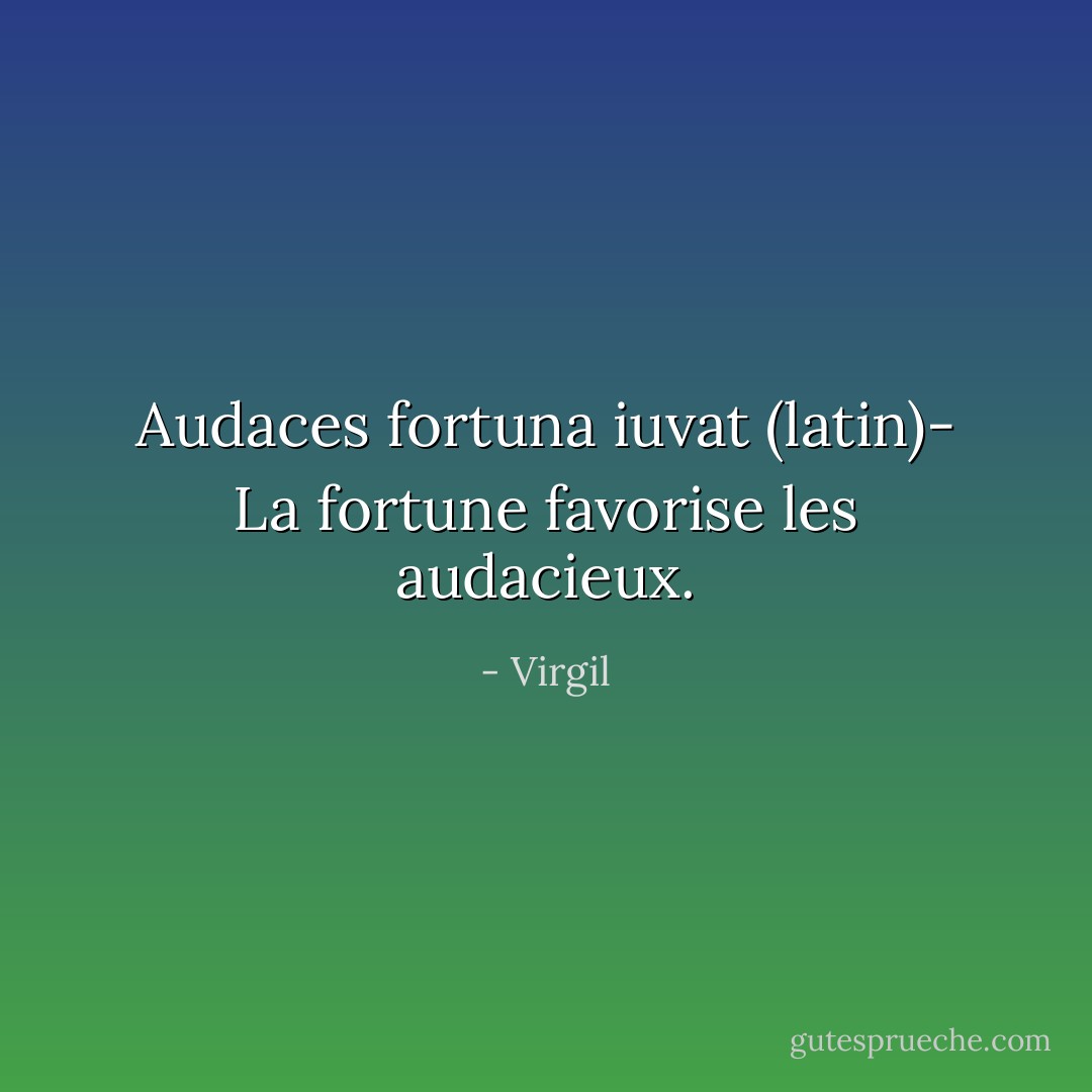 Audaces fortuna iuvat (latin)- La fortune favorise les audacieux. - Virgil