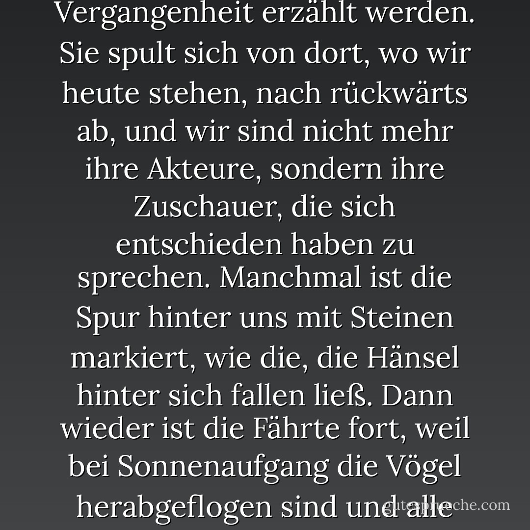 Jede Geschichte, die wir über uns erzählen, kann nur in der Vergangenheit erzählt werden. Sie spult sich von dort, wo wir heute stehen, nach rückwärts ab, und wir sind nicht mehr ihre Akteure, sondern ihre Zuschauer, die sich entschieden haben zu sprechen. Manchmal ist die Spur hinter uns mit Steinen markiert, wie die, die Hänsel hinter sich fallen ließ. Dann wieder ist die Fährte fort, weil bei Sonnenaufgang die Vögel herabgeflogen sind und alle Krumen aufgepickt haben. - Siri Hustvedt
