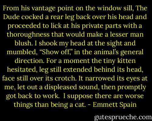 From his vantage point on the window sill, The Dude cocked a rear leg back over his head and proceeded to lick at his private parts with a thoroughness that would make a lesser man blush. I shook my head at the sight and mumbled, “Show off,” in the animal’s general direction. For a moment the tiny kitten hesitated, leg still extended behind its head, face still over its crotch. It narrowed its eyes at me, let out a displeased sound, then promptly got back to work.<br /><br />I suppose there are worse things than being a cat. - Emmett Spain