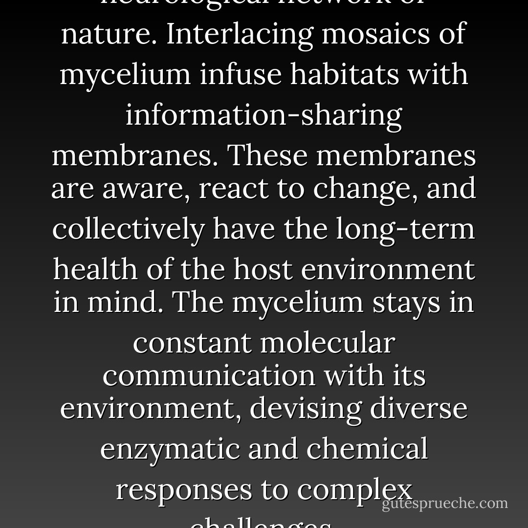 I believe that mycelium is the neurological network of nature. Interlacing mosaics of mycelium infuse habitats with information-sharing membranes. These membranes are aware, react to change, and collectively have the long-term health of the host environment in mind. The mycelium stays in constant molecular communication with its environment, devising diverse enzymatic and chemical responses to complex challenges. - Paul Stamets