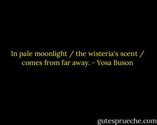 In pale moonlight / the wisteria's scent / comes from far away. - Yosa Buson
