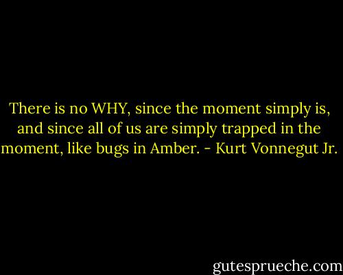 There is no WHY, since the moment simply is, and since all of us are simply trapped in the moment, like bugs in Amber. - Kurt Vonnegut Jr.