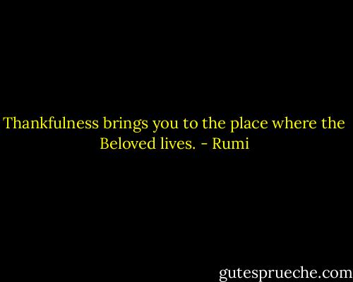 Thankfulness brings you to the place where the Beloved lives. - Rumi