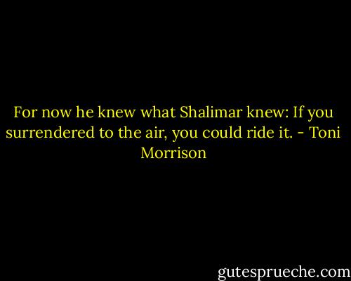 For now he knew what Shalimar knew: If you surrendered to the air, you could ride it. - Toni Morrison