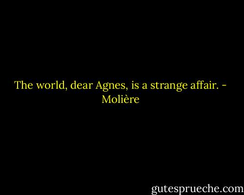 The world, dear Agnes, is a strange affair. - Molière