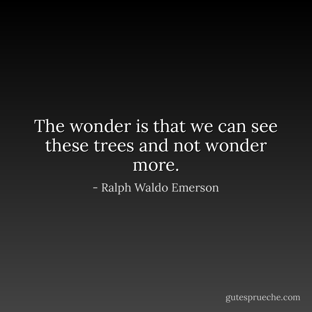 The wonder is that we can see these trees and not wonder more. - Ralph Waldo Emerson