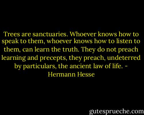 Trees are sanctuaries. Whoever knows how to speak to them, whoever knows how to listen to them, can learn the truth. They do not preach learning and precepts, they preach, undeterred by particulars, the ancient law of life. - Hermann Hesse