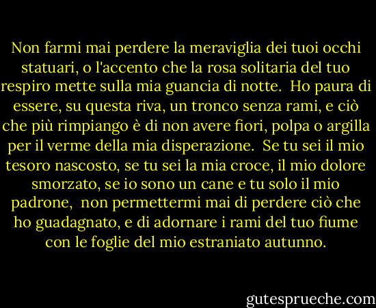 Non farmi mai perdere la meraviglia<br />dei tuoi occhi statuari, o l'accento<br />che la rosa solitaria del tuo respiro<br />mette sulla mia guancia di notte.<br /><br />Ho paura di essere, su questa riva,<br />un tronco senza rami, e ciò che più rimpiango<br />è di non avere fiori, polpa o argilla<br />per il verme della mia disperazione.<br /><br />Se tu sei il mio tesoro nascosto,<br />se tu sei la mia croce, il mio dolore smorzato,<br />se io sono un cane e tu solo il mio padrone,<br /><br />non permettermi mai di perdere ciò che ho guadagnato,<br />e di adornare i rami del tuo fiume<br />con le foglie del mio estraniato autunno. - Federico García Lorca