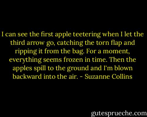 I can see the first apple teetering when I let the third arrow go, catching the torn flap and ripping it from the bag. For a moment, everything seems frozen in time. Then the apples spill to the ground and I'm blown backward into the air. - Suzanne Collins