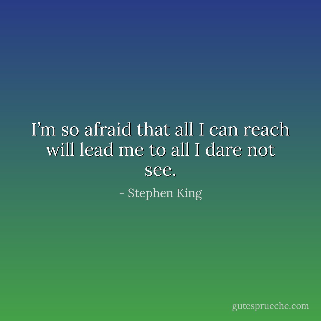 I’m so afraid that all I can reach will lead me to all I dare not see. - Stephen King