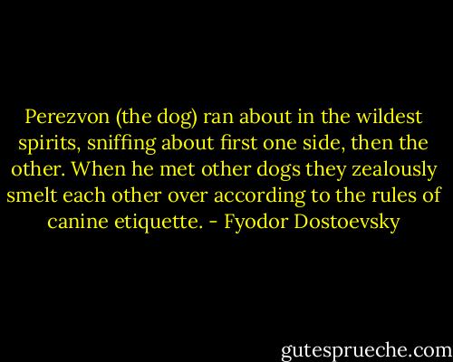Perezvon (the dog) ran about in the wildest spirits, sniffing about first one side, then the other. When he met other dogs they zealously smelt each other over according to the rules of canine etiquette. - Fyodor Dostoevsky