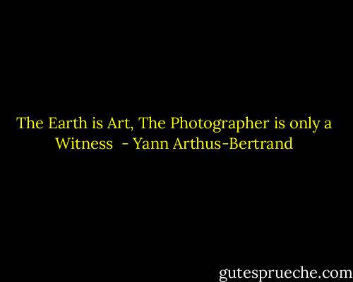 The Earth is Art, The Photographer is only a Witness  - Yann Arthus-Bertrand
