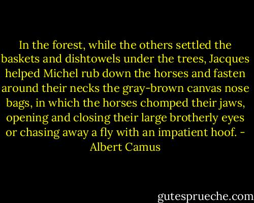 In the forest, while the others settled the baskets and dishtowels under the trees, Jacques helped Michel rub down the horses and fasten around their necks the gray-brown canvas nose bags, in which the horses chomped their jaws, opening and closing their large brotherly eyes or chasing away a fly with an impatient hoof. - Albert Camus