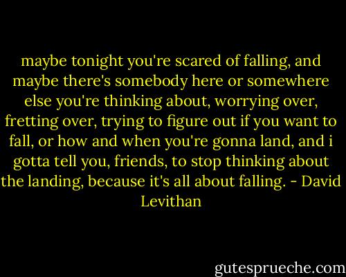 maybe tonight you're scared of falling, and maybe there's somebody here or somewhere else you're thinking about, worrying over, fretting over, trying to figure out if you want to fall, or how and when you're gonna land, and i gotta tell you, friends, to stop thinking about the landing, because it's all about falling. - David Levithan