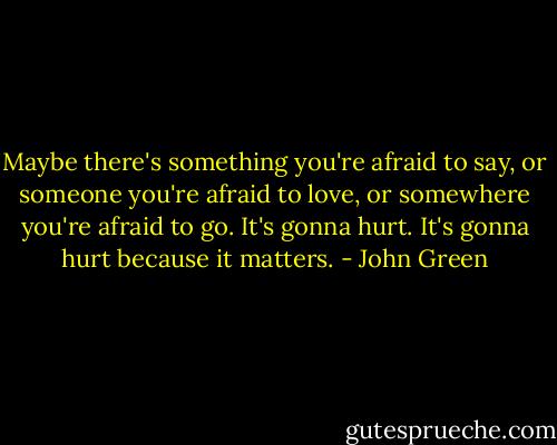 Maybe there's something you're afraid to say, or someone you're afraid to love, or somewhere you're afraid to go. It's gonna hurt. It's gonna hurt because it matters. - John Green