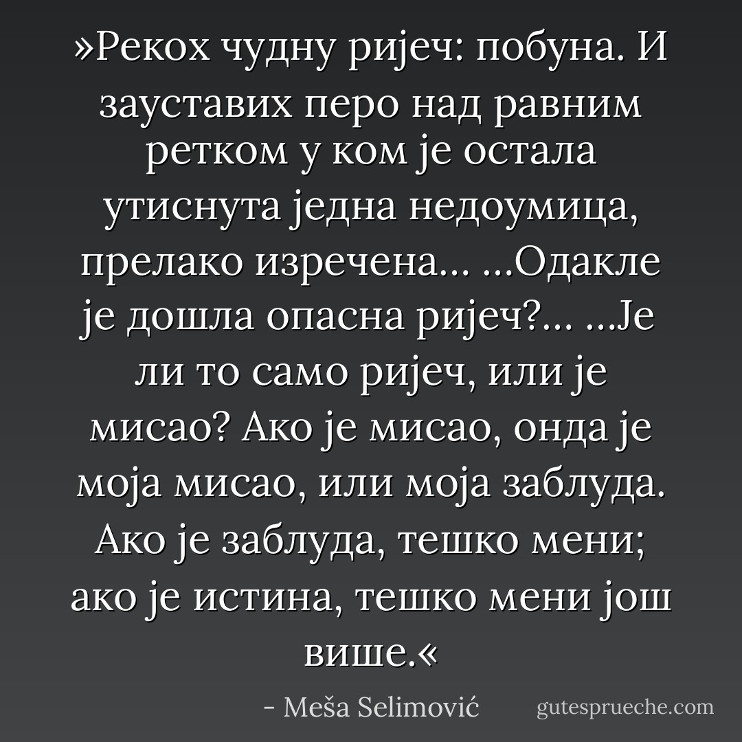 »Рекох чудну ријеч: побуна. И зауставих перо<br />над равним ретком у ком је остала утиснута једна<br />недоумица, прелако изречена…<br />…Одакле је дошла опасна ријеч?…<br />…Је ли то само ријеч, или је мисао? Ако је мисао,<br />онда је моја мисао, или моја заблуда.<br />Ако је заблуда, тешко мени; ако је истина, тешко мени још више.« - Meša Selimović
