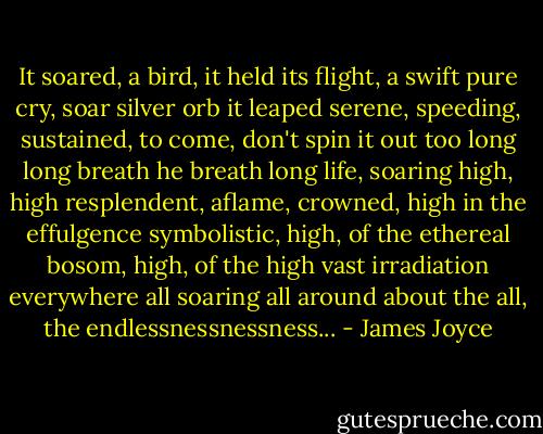 It soared, a bird, it held its flight, a swift pure cry, soar silver orb it leaped serene, speeding, sustained, to come, don't spin it out too long long breath he breath long life, soaring high, high resplendent, aflame, crowned, high in the effulgence symbolistic, high, of the ethereal bosom, high, of the high vast irradiation everywhere all soaring all around about the all, the endlessnessnessness... - James Joyce