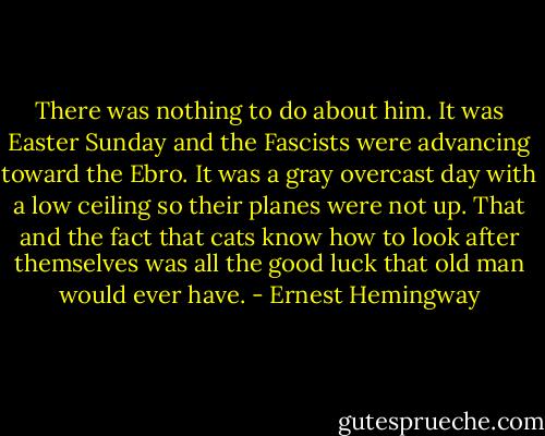There was nothing to do about him. It was Easter Sunday and the Fascists were advancing toward the Ebro. It was a gray overcast day with a low ceiling so their planes were not up. That and the fact that cats know how to look after themselves was all the good luck that old man would ever have. - Ernest Hemingway