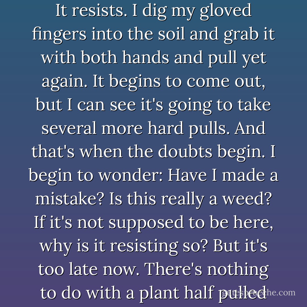 August 21. <br />... I've become pretty good at telling weeds fom not-weeds. But every once in a while I have my doubts. I come across an especially difficult root. I pull and it doesn't come out. I pull again. It resists. I dig my gloved fingers into the soil and grab it with both hands and pull yet again. It begins to come out, but I can see it's going to take several more hard pulls. And that's when the doubts begin. I begin to wonder: Have I made a mistake? Is this really a weed? If it's not supposed to be here, why is it resisting so? But it's too late now. There's nothing to do with a plant half pulled but to go all the way. And so I tug some more, and finally, shedding clods of dirt and worms, it breaks free of the earth---and I try not to hear the tiny, anguished cry. - Jerry Spinelli