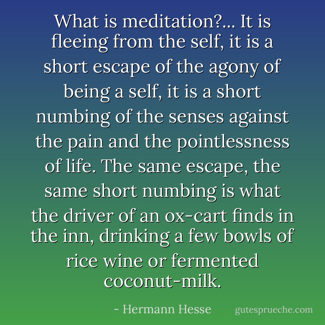 What is meditation?... It is fleeing from the self, it is a short escape of the agony of being a self, it is a short numbing of the senses against the pain and the pointlessness of life. The same escape, the same short numbing is what the driver of an ox-cart finds in the inn, drinking a few bowls of rice wine or fermented coconut-milk. - Hermann Hesse