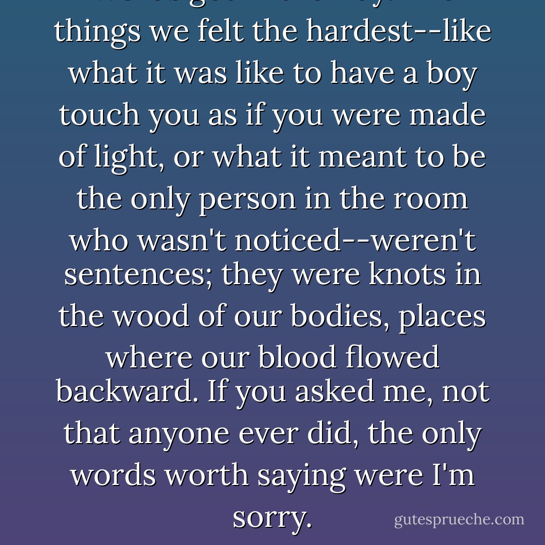Words got in the way. The things we felt the hardest--like what it was like to have a boy touch you as if you were made of light, or what it meant to be the only person in the room who wasn't noticed--weren't sentences; they were knots in the wood of our bodies, places where our blood flowed backward. If you asked me, not that anyone ever did, the only words worth saying were I'm sorry. - Jodi Picoult