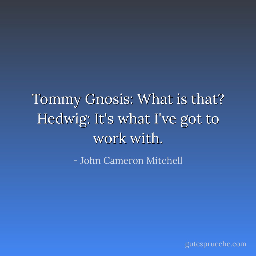 Tommy Gnosis: What is that?<br />Hedwig: It's what I've got to work with. - John Cameron Mitchell