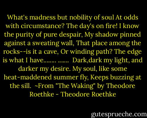 What's madness but nobility of soul<br />At odds with circumstance? The day's on fire!<br />I know the purity of pure despair,<br />My shadow pinned against a sweating wall,<br />That place among the rocks--is it a cave,<br />Or winding path? The edge is what I have........<br />....... <br />Dark,dark my light, and darker my desire.<br />My soul, like some heat-maddened summer fly,<br />Keeps buzzing at the sill.<br /><br />~From "The Waking" by Theodore Roethke - Theodore Roethke