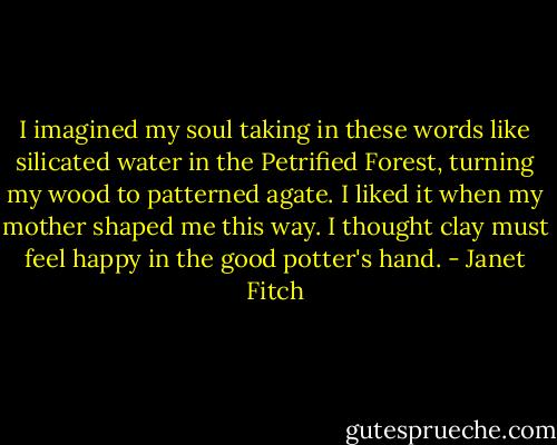 I imagined my soul taking in these words like silicated water in the Petrified Forest, turning my wood to patterned agate. I liked it when my mother shaped me this way. I thought clay must feel happy in the good potter's hand. - Janet Fitch