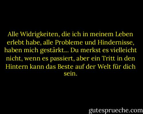 Alle Widrigkeiten, die ich in meinem Leben erlebt habe, alle Probleme und Hindernisse, haben mich gestärkt... Du merkst es vielleicht nicht, wenn es passiert, aber ein Tritt in den Hintern kann das Beste auf der Welt für dich sein. - Walt Disney Company<