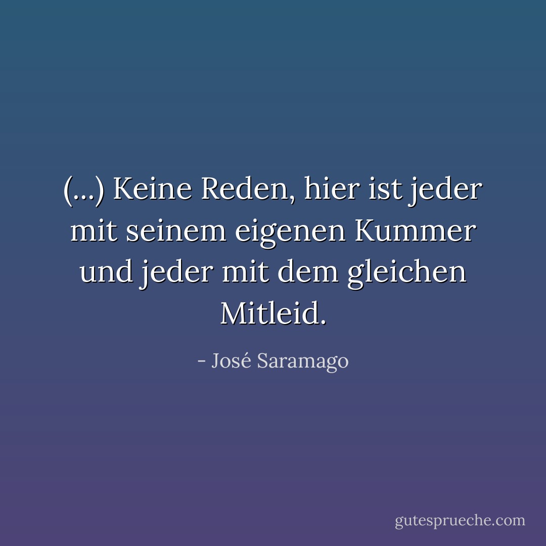 (...) Keine Reden, hier ist jeder mit seinem eigenen Kummer und jeder mit dem gleichen Mitleid. - José Saramago<