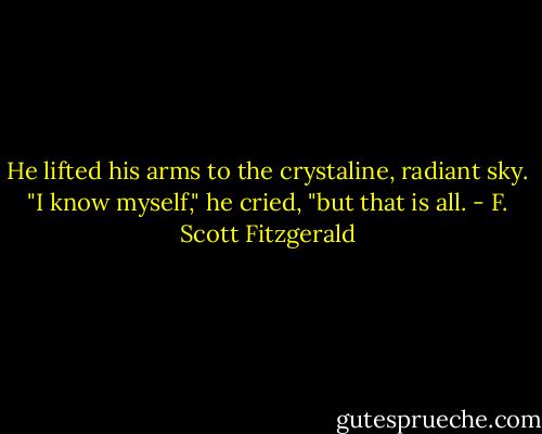 He lifted his arms to the crystaline, radiant sky.<br />"I know myself," he cried, "but that is all. - F. Scott Fitzgerald