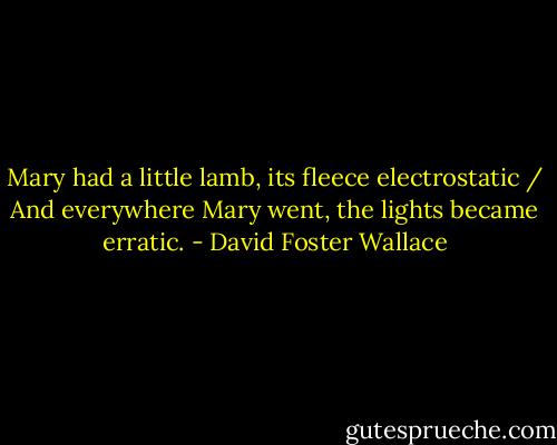 Mary had a little lamb, its fleece electrostatic / And everywhere Mary went, the lights became erratic. - David Foster Wallace