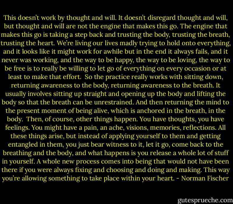 This doesn’t work by thought and will. It doesn’t disregard thought and will, but thought and will are not the engine that makes this go. The engine that makes this go is taking a step back and trusting the body, trusting the breath, trusting the heart. We’re living our lives madly trying to hold onto everything, and it looks like it might work for awhile but in the end it always fails, and it never was working, and the way to be happy, the way to be loving, the way to be free is to really be willing to let go of everything on every occasion or at least to make that effort.<br /><br />So the practice really works with sitting down, returning awareness to the body, returning awareness to the breath. It usually involves sitting up straight and opening up the body and lifting the body so that the breath can be unrestrained. And then returning the mind to the present moment of being alive, which is anchored in the breath, in the body.<br /><br />Then, of course, other things happen. You have thoughts, you have feelings. You might have a pain, an ache, visions, memories, reflections. All these things arise, but instead of applying yourself to them and getting entangled in them, you just bear witness to it, let it go, come back to the breathing and the body, and what happens is you release a whole lot of stuff in yourself. A whole new process comes into being that would not have been there if you were always fixing and choosing and doing and making. This way you’re allowing something to take place within your heart. - Norman Fischer